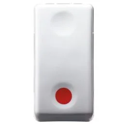 cmt-srl20260524113453595503