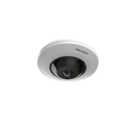 segshop20260524104350584829