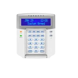 segshop20260524104703585511