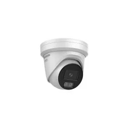 segshop20260524113604595748