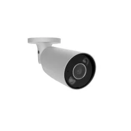 segshop20260524113613595782