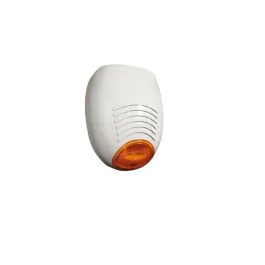 segshop20260524113654595917
