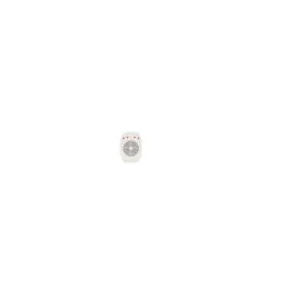 segshop20260524113812596178