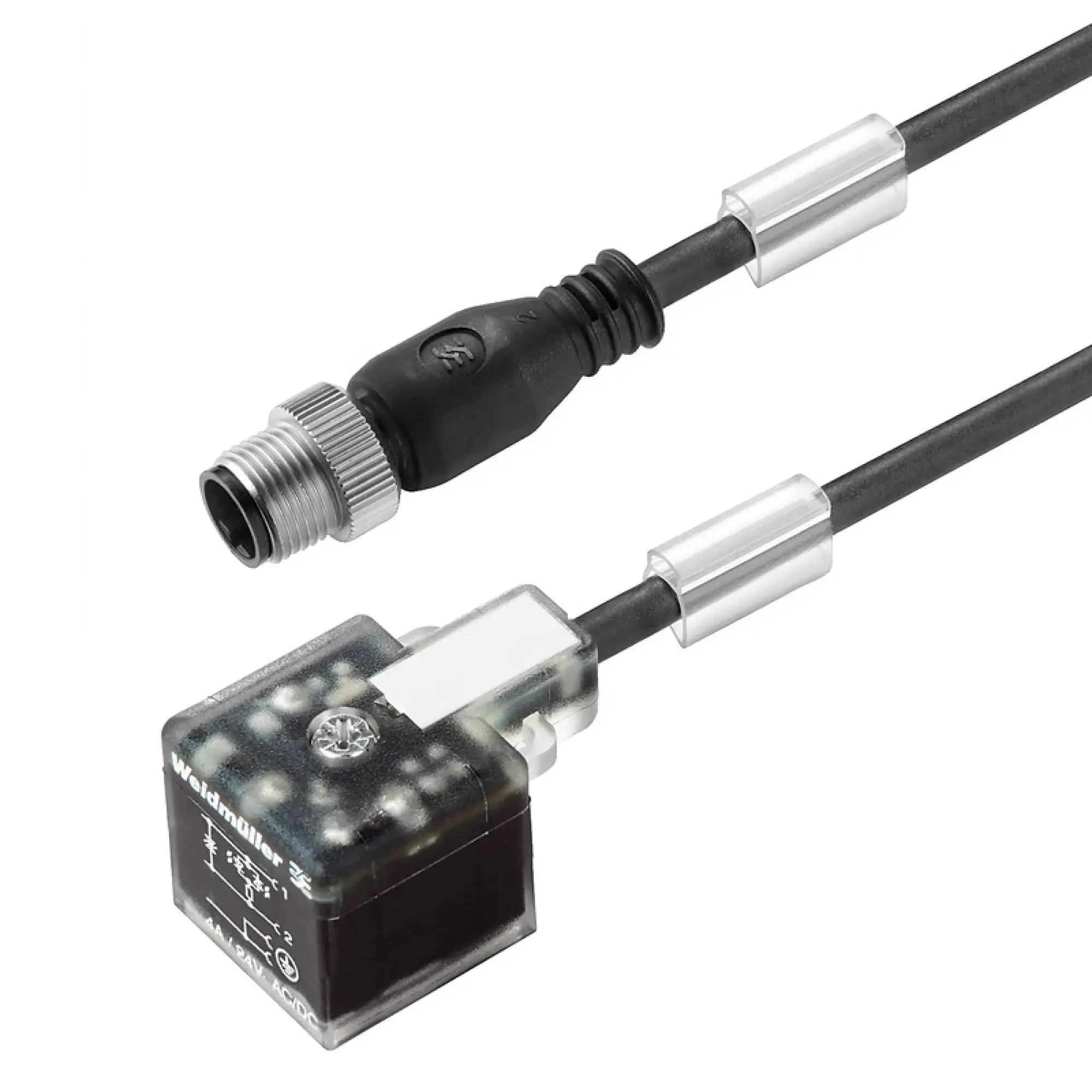wsu-industrials-220260525110841799788